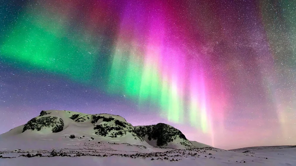 Alaska Cruises: Glaciers, Wildlife & the Northern Lights photo 3